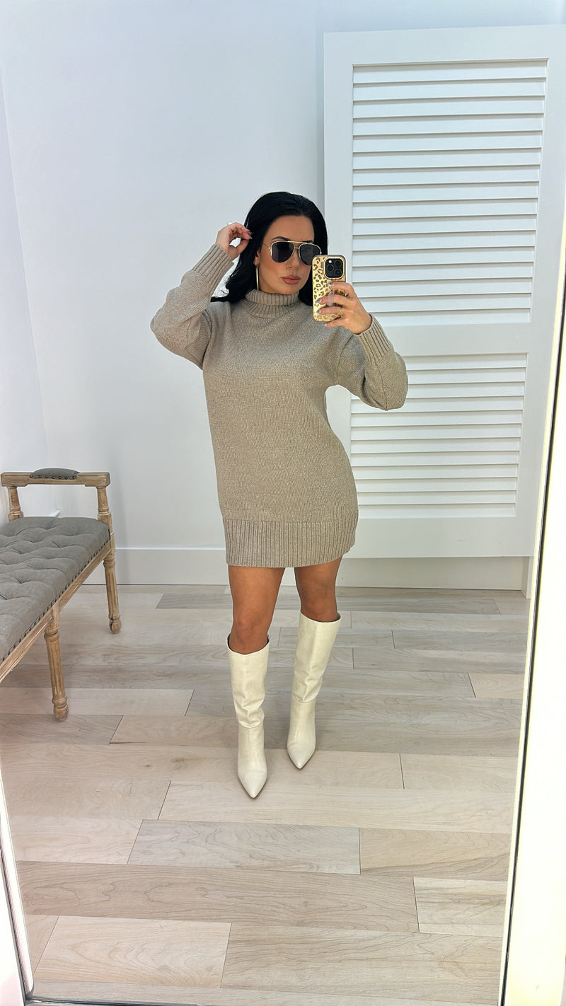 Turtle Neck Mini Sweater Dress